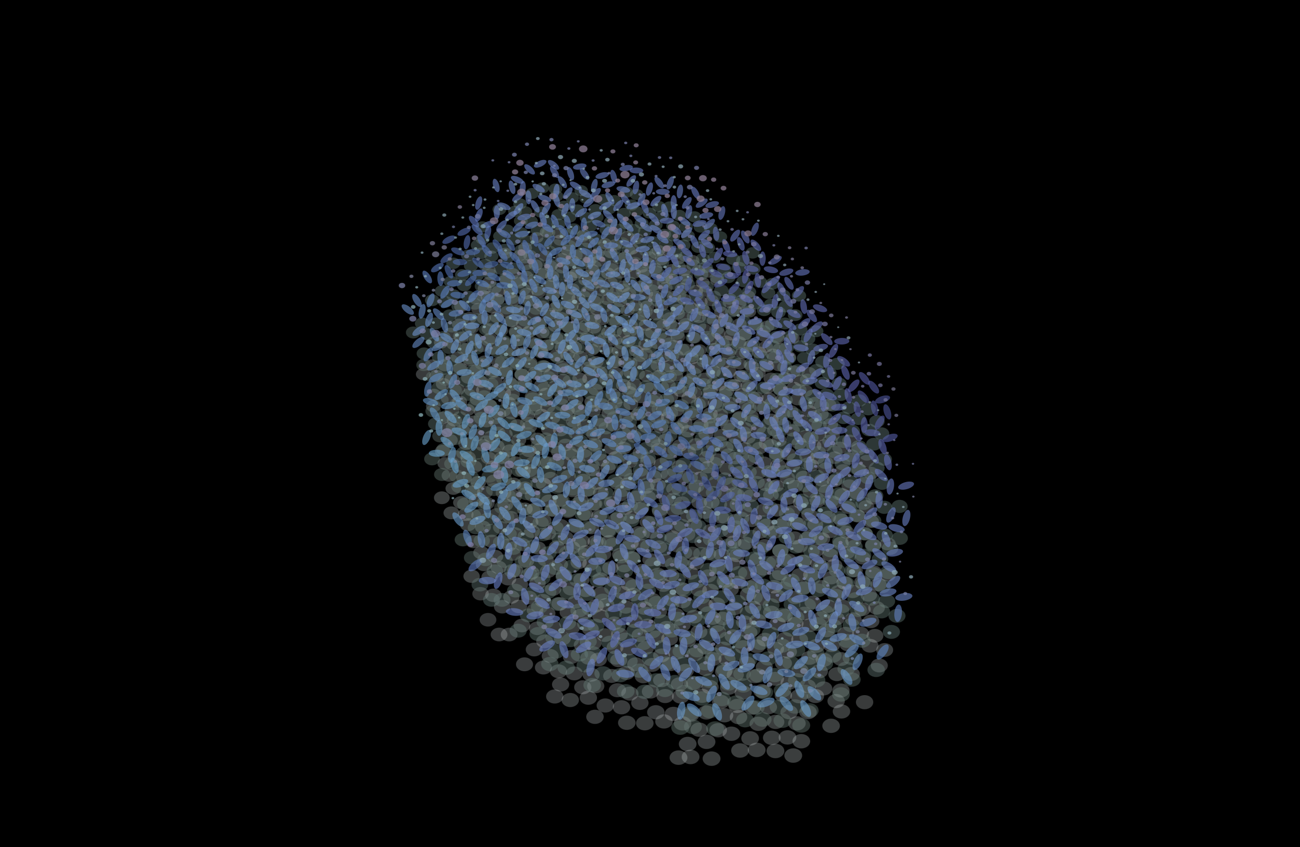 A slab of cephalopod skin seen in section under daylight: pale discs over blue plates over white.