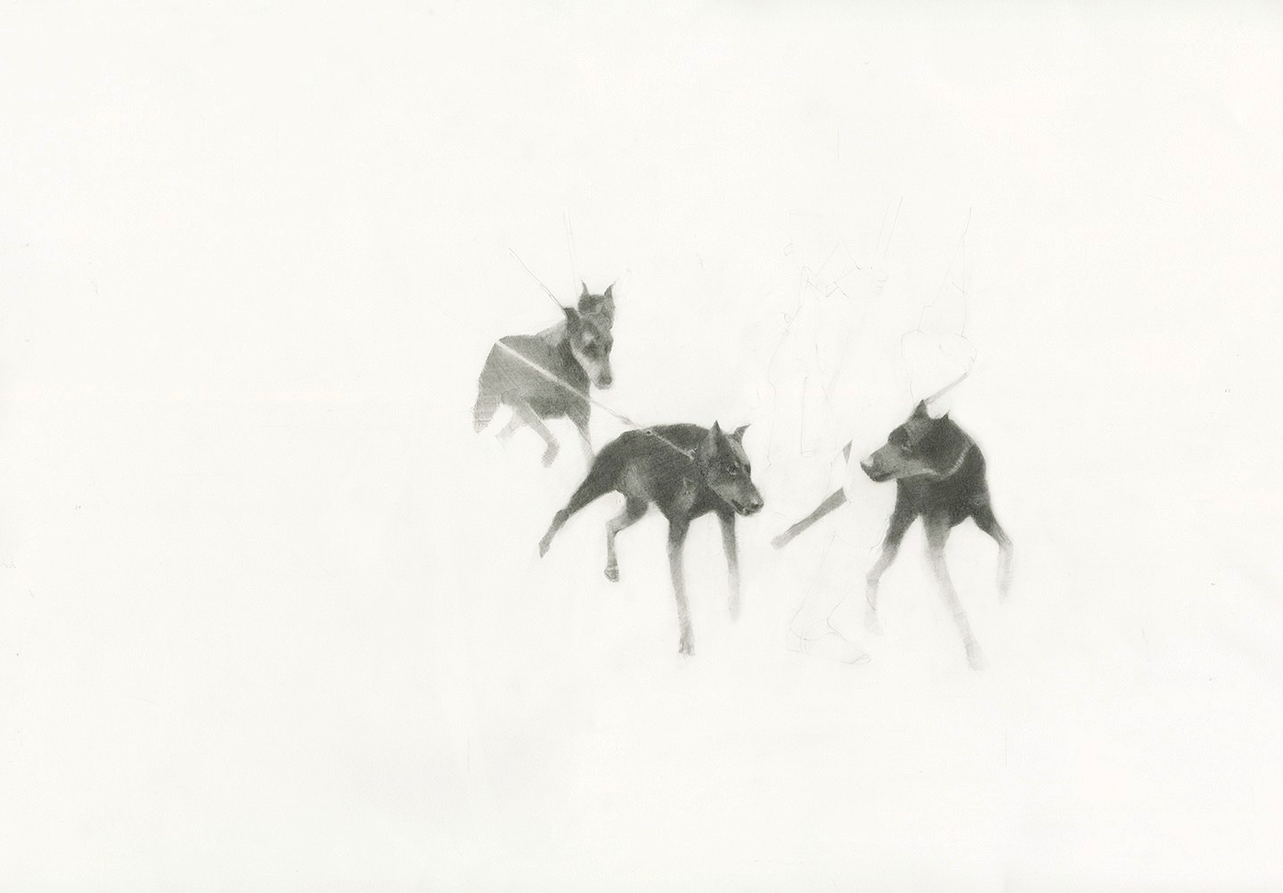 Graphite drawing of three dark dogs in motion, lightly sketched against an empty ground.
