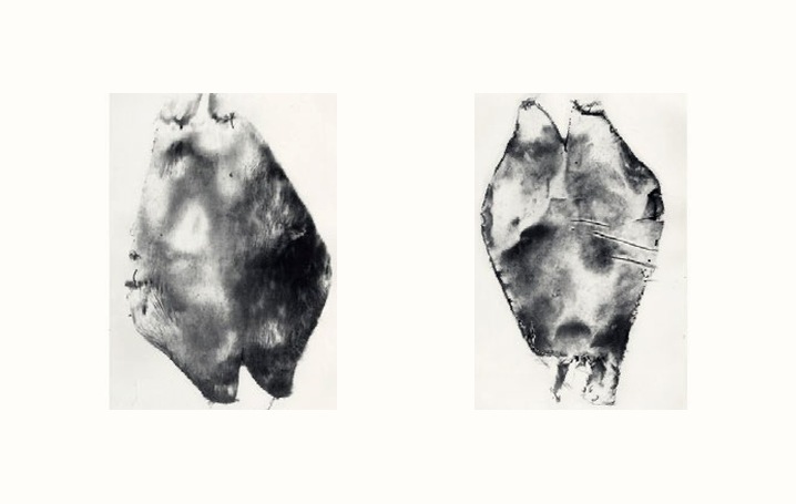 Two photopolymer etchings side by side: flattened fur toys, one pale at its centre and dark at its edges, the other with dark, mottled fur.