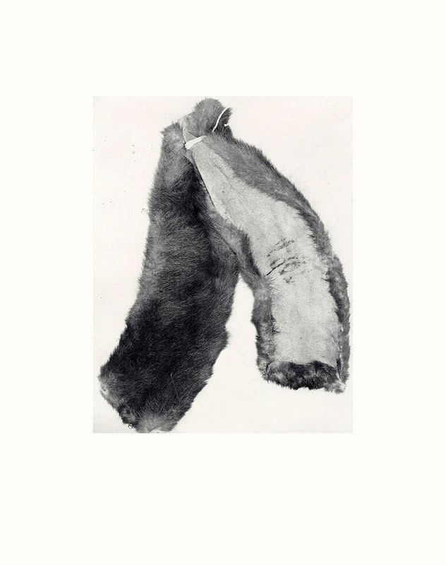 Photopolymer etching in greys of a fur remnant, folded and tied.