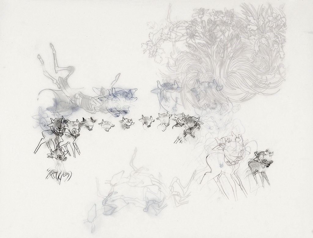 Layered drawing on mylar: a line of small fawns traced across the sheet beneath a cluster of drawn flowers, in grey and blue.