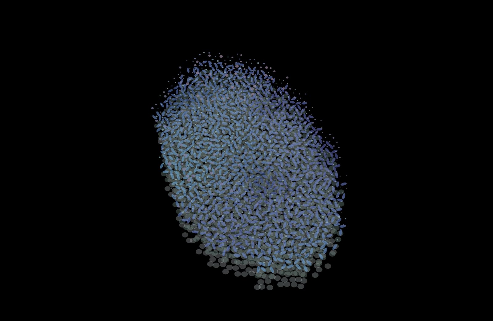 The same skin under daylight: pale discs over blue plates over white.