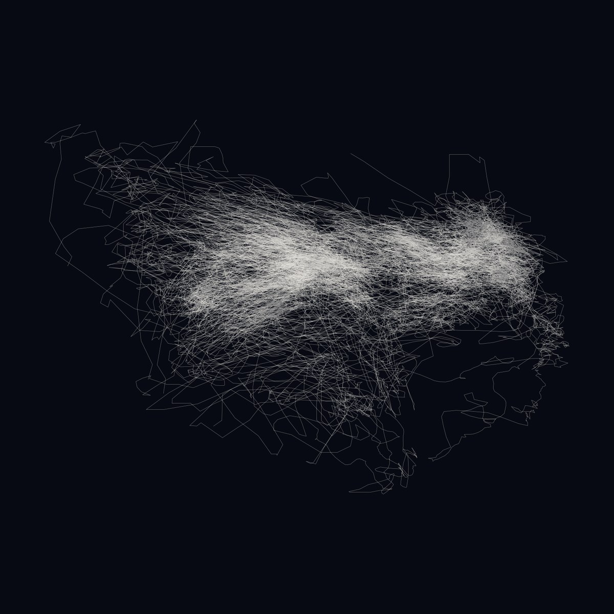 Thousands of fine pale lines tangled into a long cloud on a dark ground, densest along its centre and loosening into single wandering lines at the edges.