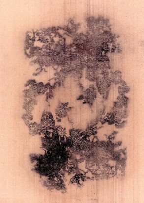 Process work: the oak pattern transferred in dark pounce on pink ground.