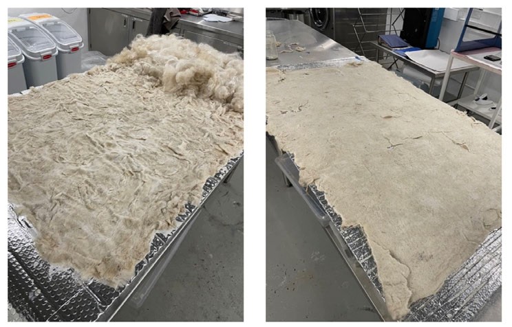 Two views of large felt being made on studio tables.