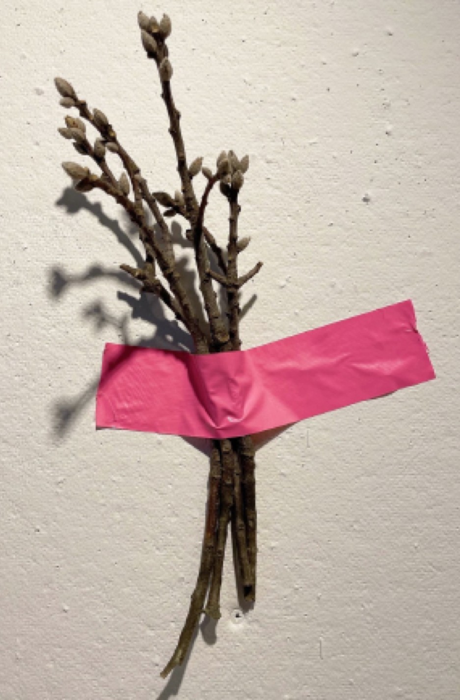 A bundle of bare branches bound with pink duct tape against a white wall.