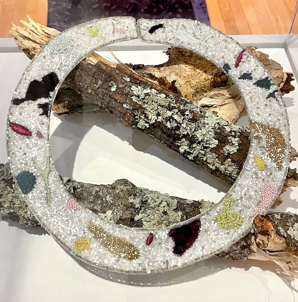 A beaded ring necklace on organza, silver beads with patches of colour, resting on lichen-covered bark.
